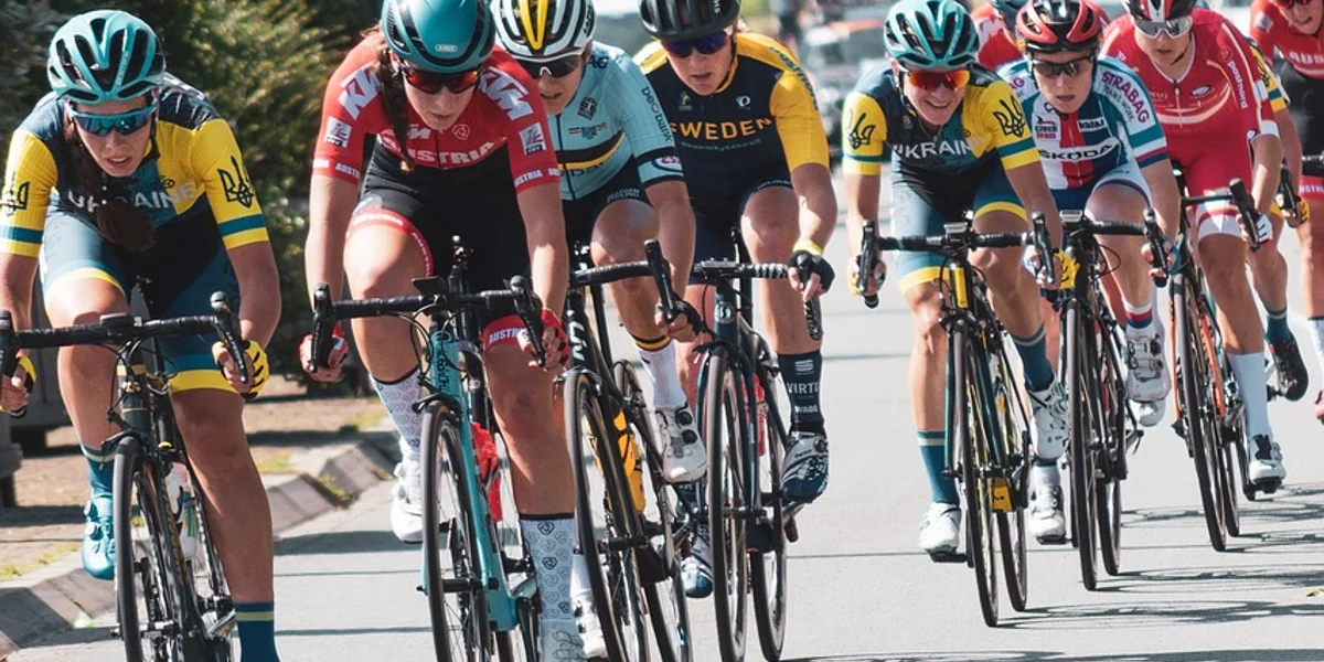 Ciclistas entre vinhas do Douro